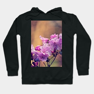 Raindrops on a Pink Rhododendron Hoodie